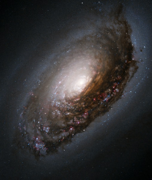 фотоснимки объектов каталога Месье - М64