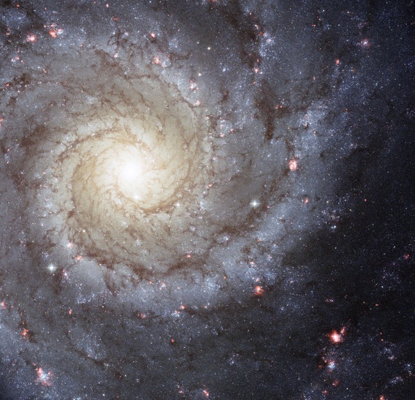 фотоснимки объектов каталога Месье - М74