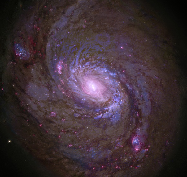 фотоснимки объектов каталога Месье - М77