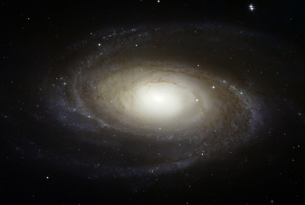 фотоснимки объектов каталога Месье - М81